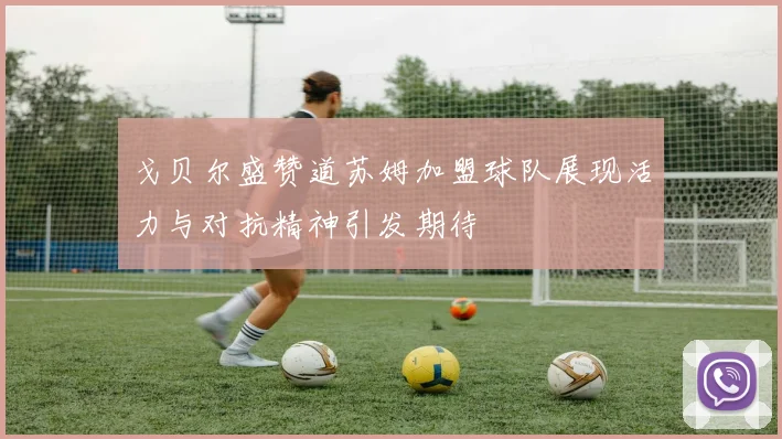 戈贝尔盛赞道苏姆加盟球队展现活力与对抗精神引发期待