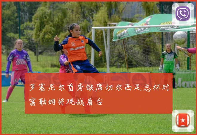 罗塞尼尔首秀缺席切尔西足总杯对富勒姆将观战看台