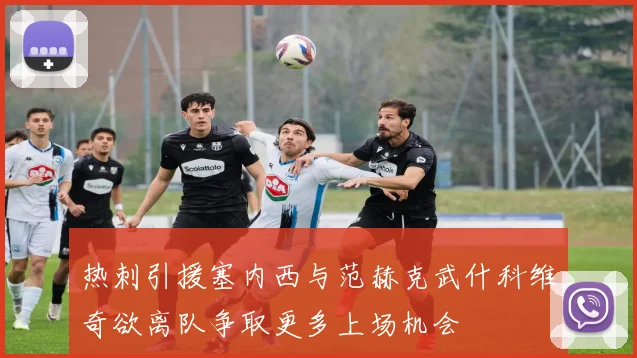 热刺引援塞内西与范赫克武什科维奇欲离队争取更多上场机会